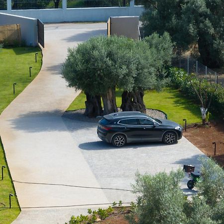 Yannis Retreat Apartment Lefkada City Exterior photo