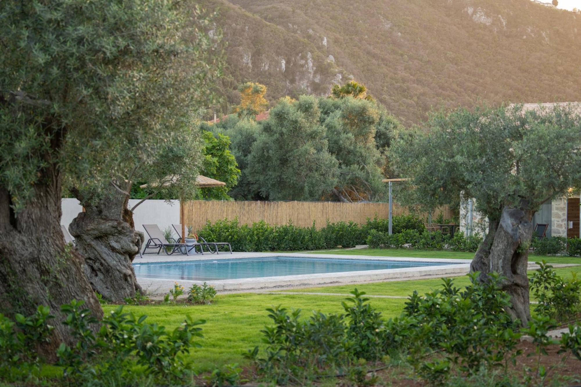 Yannis Retreat Apartment Lefkada City Exterior photo